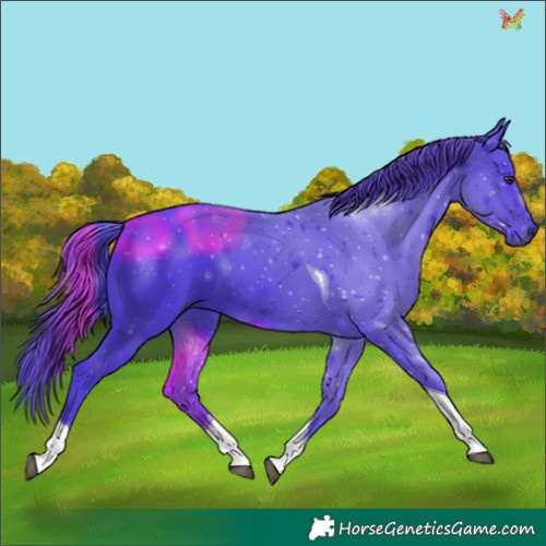 Horse Color:Watercolor Liver Chestnut Tobiano