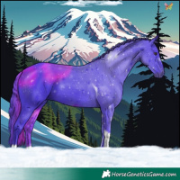 Horse Color:Watercolor Liver Chestnut Tobiano 