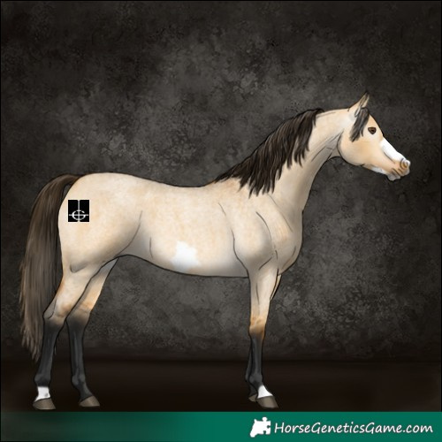 Horse Color:Gray Buckskin Roan Dun Frame Rabicano 