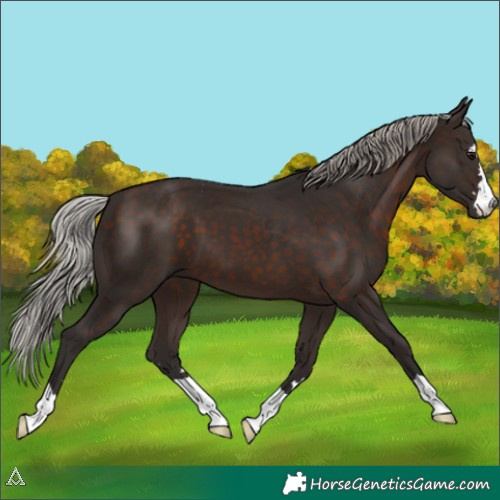 Horse Color:Silver Brown 