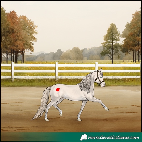 Horse Color:Perlino
