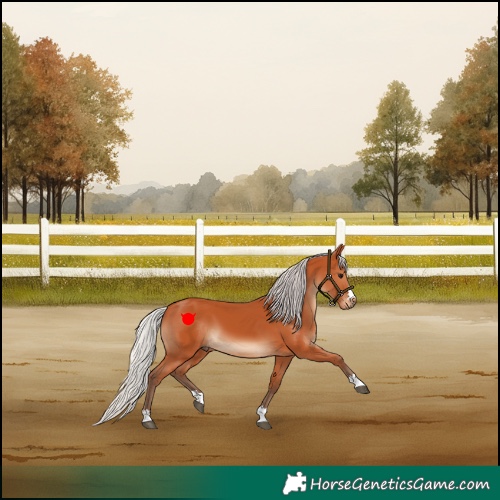 Horse Color:Silver Bay 