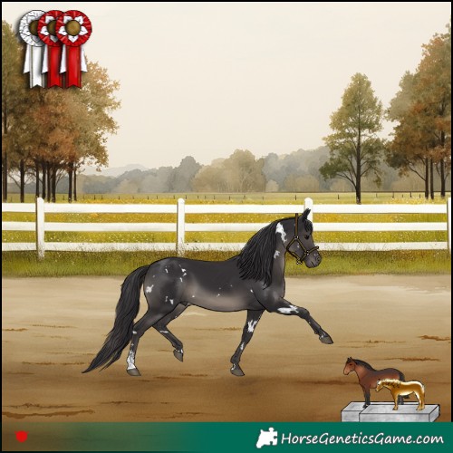 Horse Color:White Spotted Smoky Black Sabino 