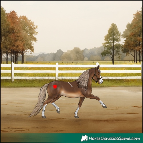 Horse Color:Chocolate Palomino Sabino Tobiano