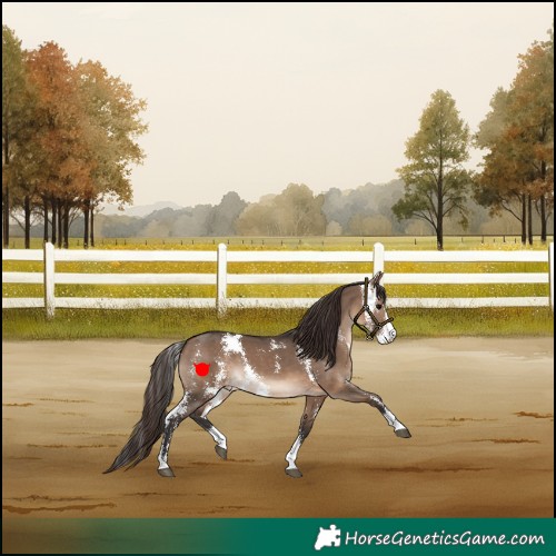 Horse Color:Brown Dun Sabino Varnish 