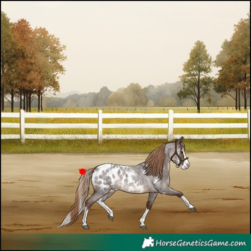 Horse Color:Liver Red Roan Sabino Splash Near Leopard 