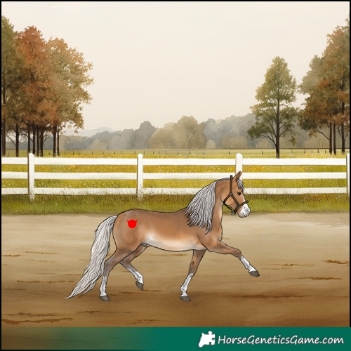 Horse Color:Silver Buckskin 