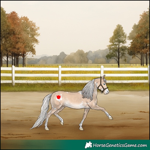 Horse Color:White Spotted Silver Perlino Sabino 