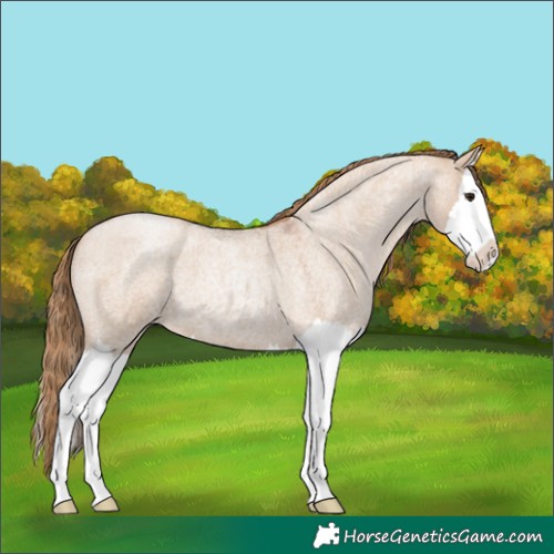 Horse Color:Grullo Roan Pearl Splash 
