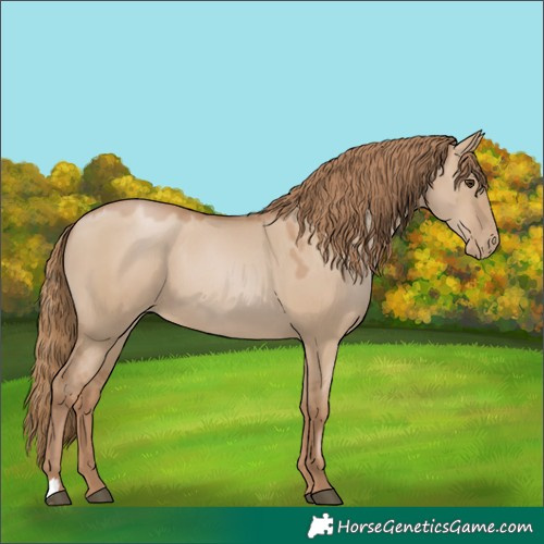 Horse Color:Grullo Pearl 