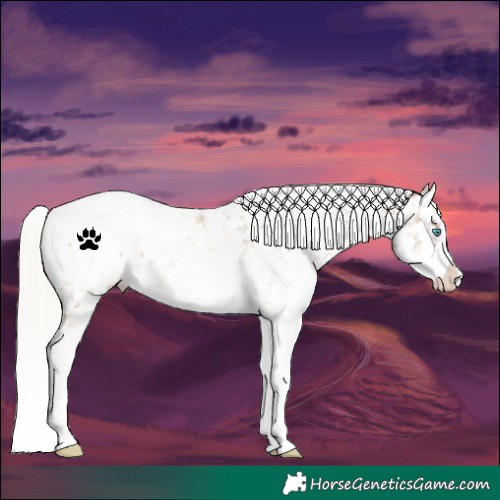 Horse Color:White Spotted Silver Buckskin Pearl Snowflake VarnishRabicano 
