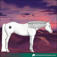 Horse Color:White Spotted Silver Buckskin Pearl Snowflake VarnishRabicano