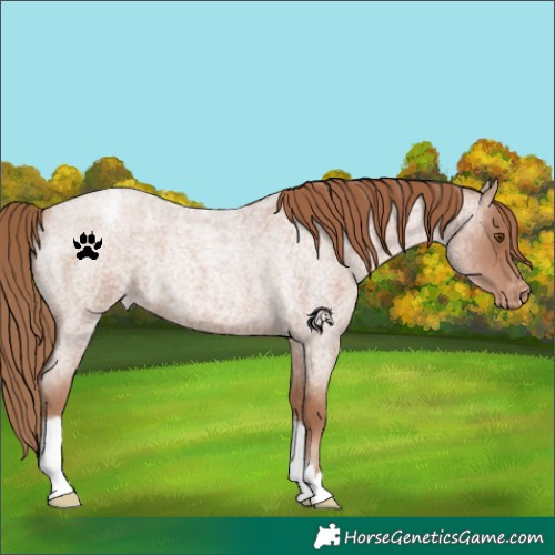 Horse Color:Blue Roan Snowdrop Pearl Varnish