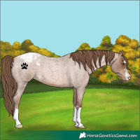 Horse Color:Brown Roan Snowdrop Pearl Varnish 