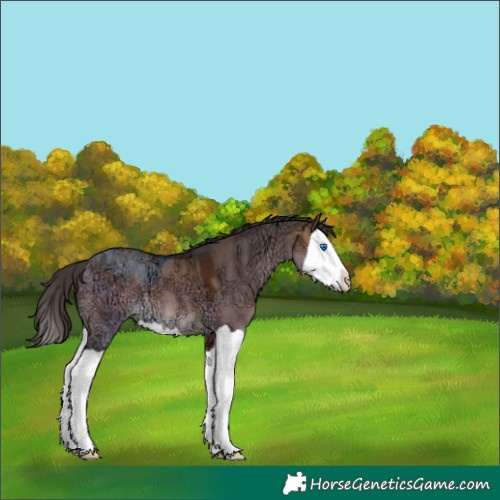 Horse Color:Bay Ice Dun Splash 