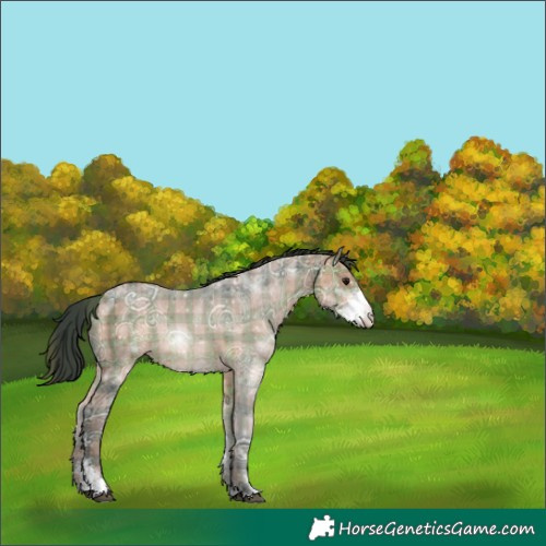 Horse Color:Plaid  Bay Ice Sabino 