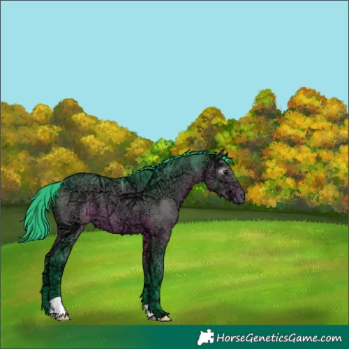 Horse Color:Gray Watercolor Brown Ice Dun 