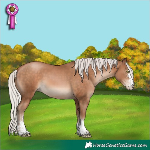 Horse Color:Silver Brown Pearl Sabino 