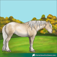 Horse Color:Silver Buckskin Pearl