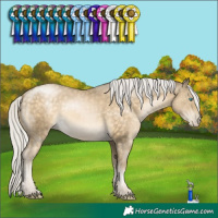 Horse Color:Silver Buckskin Pearl 