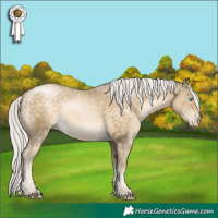 Horse Color:Silver Buckskin Pearl 