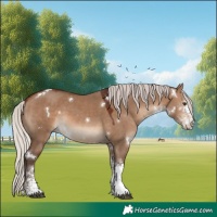 Horse Color:White Spotted Silver Brown Dun 