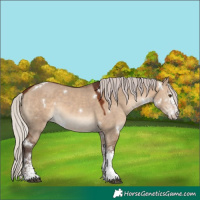 Horse Color:White Spotted Silver Brown Dun 