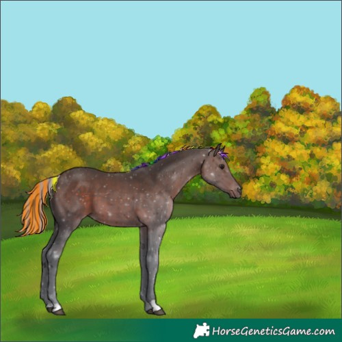 Horse Color:Painted Silver Brown 
