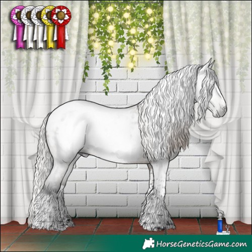Horse Color:Gray Silver Brown Roan Dun Splash Tobiano Blanket Rabicano 