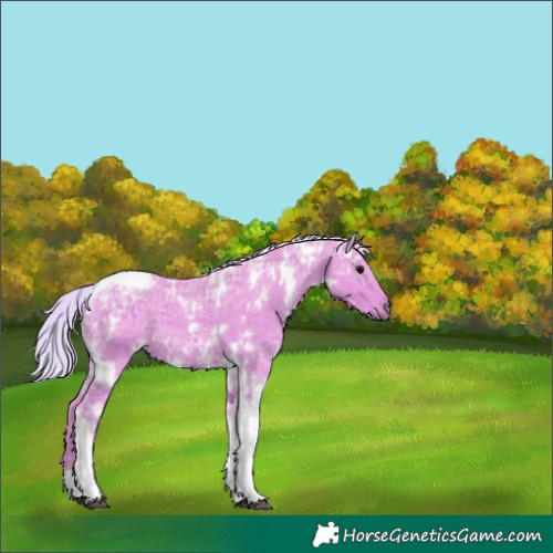 Horse Color:Watercolor White Spotted Silver Black Ice Tobiano 