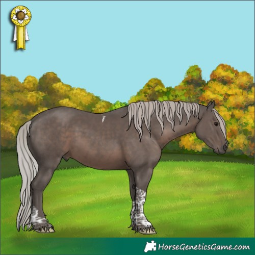 Horse Color:Silver Black Tobiano 