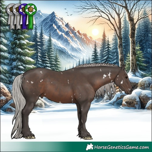 Horse Color:White Spotted Silver Black 