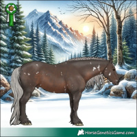 Horse Color:White Spotted Silver Black 