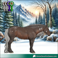 Horse Color:White Spotted Silver Black