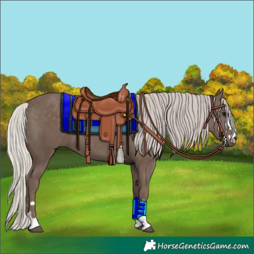 Horse Color:Silver Black 