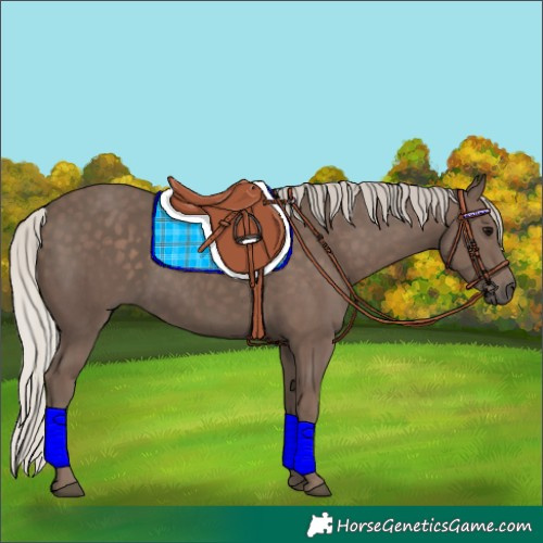 Horse Color:Silver Black 