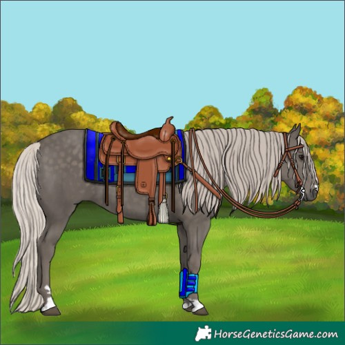 Horse Color:Silver Black 