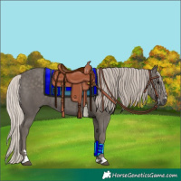 Horse Color:Silver Black 