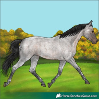 Horse Color:Brown Ice Roan 