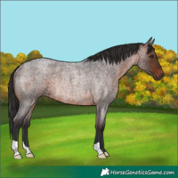Horse Color:Brown Roan Rabicano 