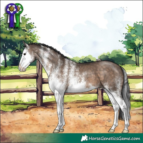 Horse Color:White Spotted Brown Dun Splash 