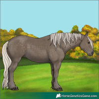 Horse Color:Silver Smoky Black 
