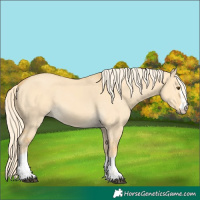 Horse Color:Palomino Dun 