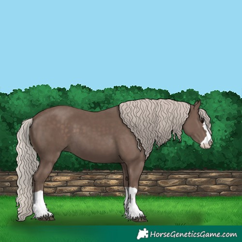 Horse Color:Silver Black 