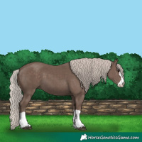 Horse Color:Silver Black 