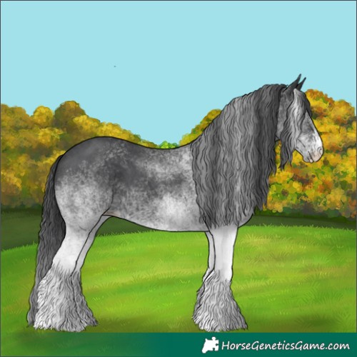 Horse Color:White Spotted Black 