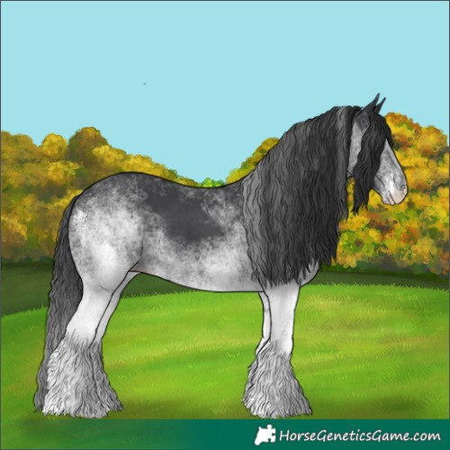 Horse Color:White Spotted Black Tobiano Rabicano 