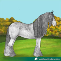 Horse Color:White Spotted Black Rabicano 