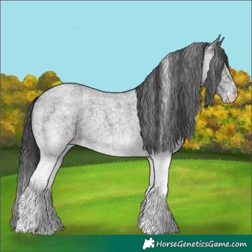 Horse Color:White Spotted Blue Roan 
