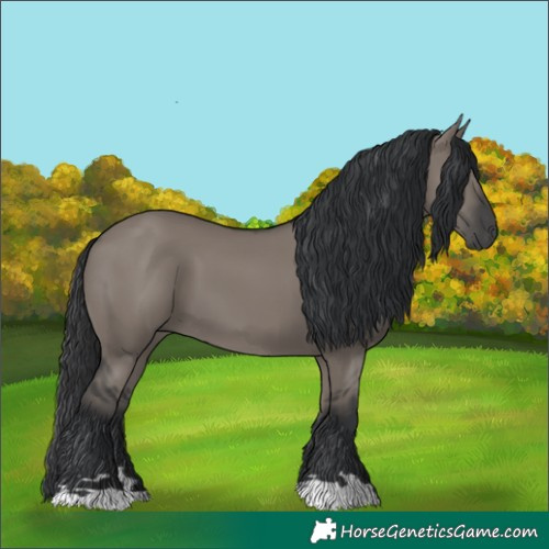 Horse Color:Grullo 